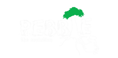 Pebble